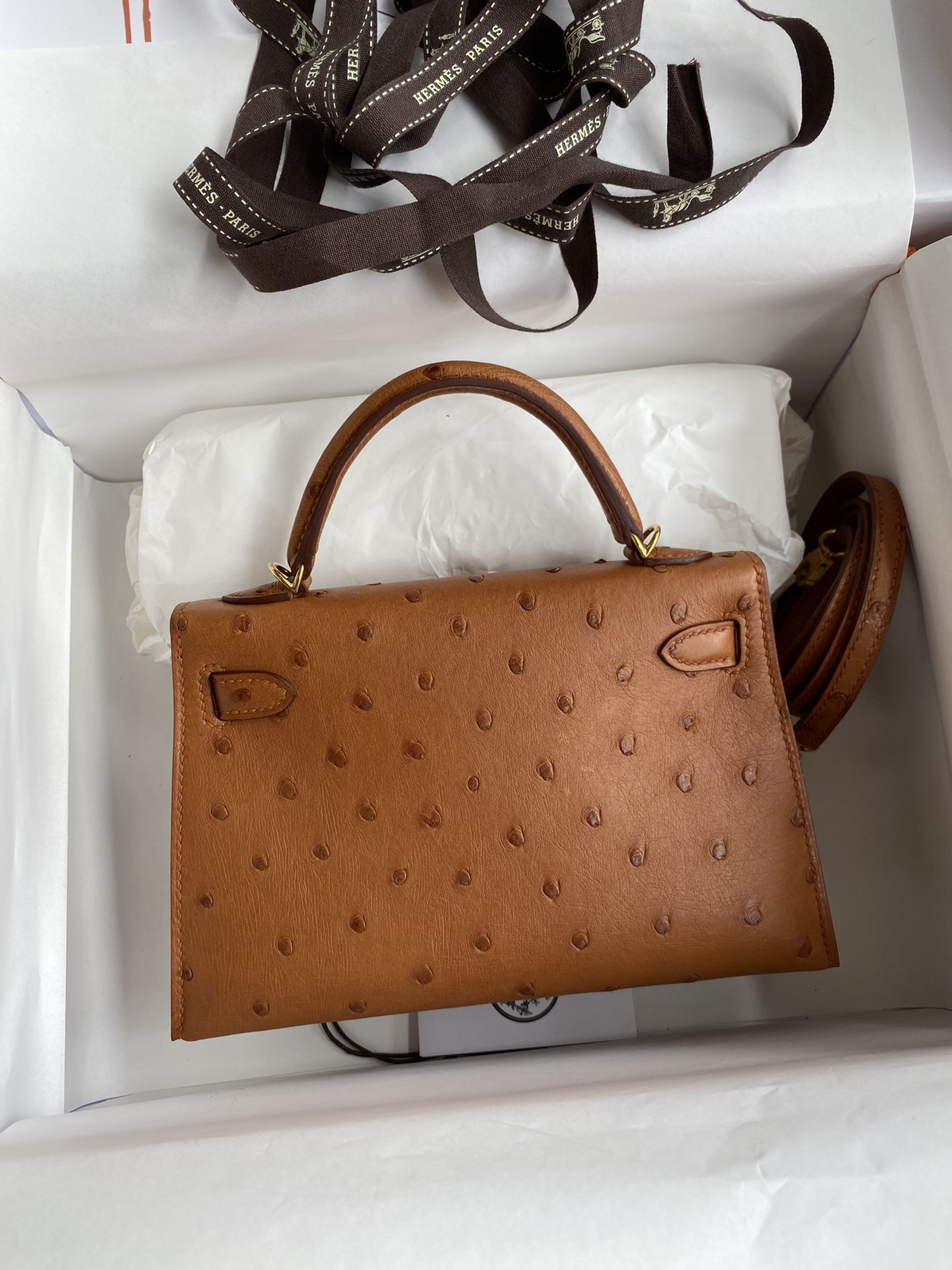 Hermes Kelly Mini II Bag 19CM In Brown Ostrich Leather